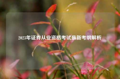 2023年证券从业资格考试最新考纲解析