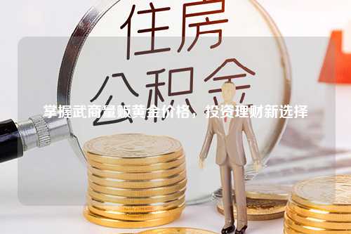 掌握武商量贩黄金价格，投资理财新选择