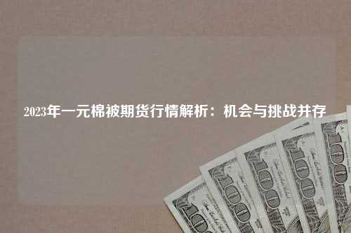 2023年一元棉被期货行情解析：机会与挑战并存