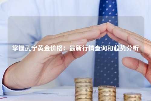 掌握武宁黄金价格：最新行情查询和趋势分析